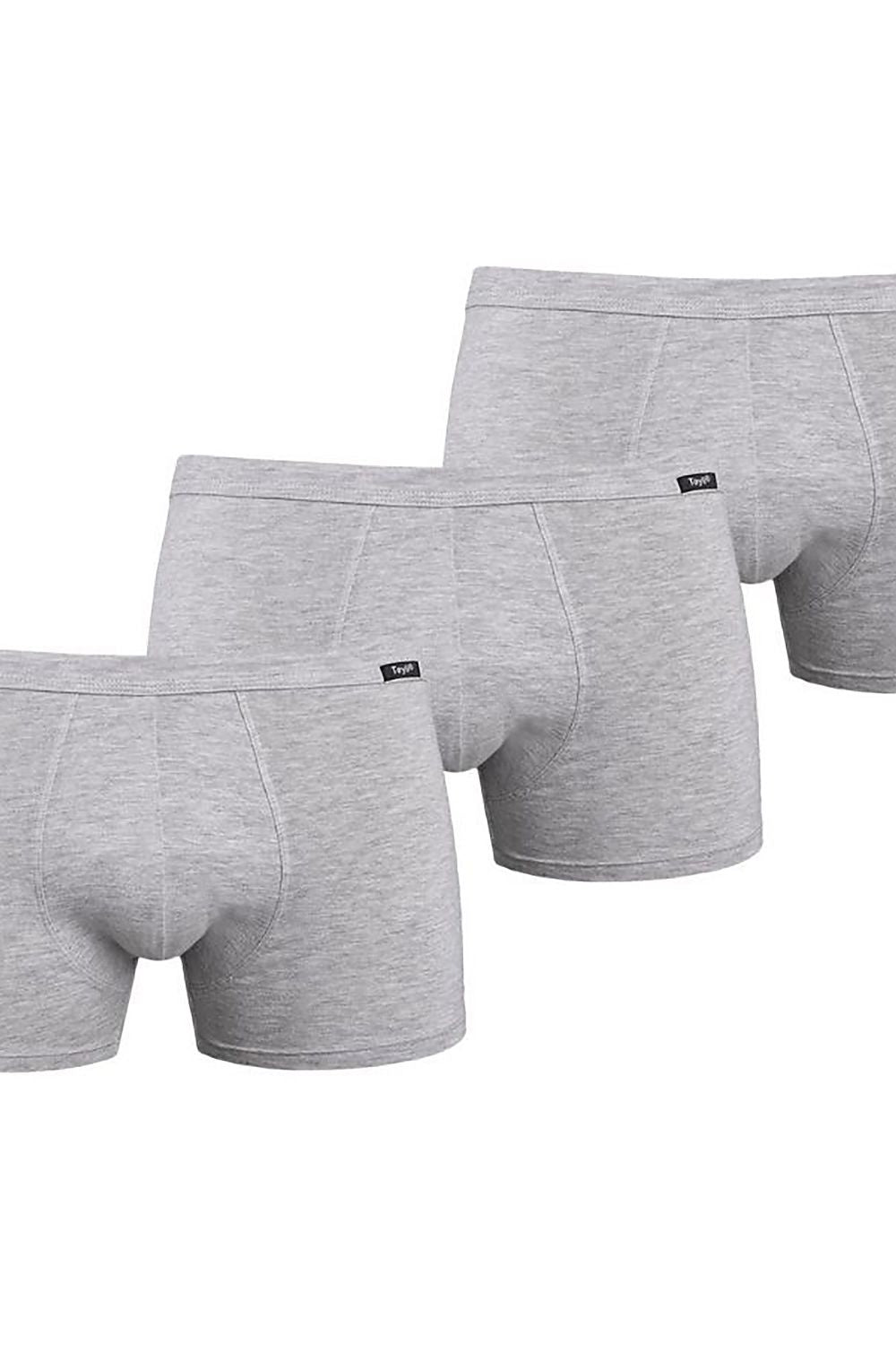   Komplet bokserki Model Levi 801-3 Grey - Teyli 